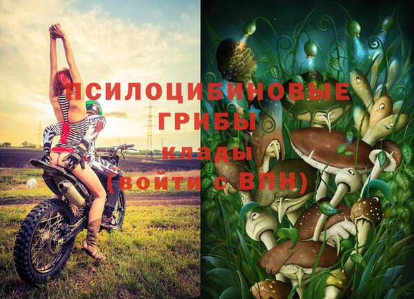 первитин Беломорск