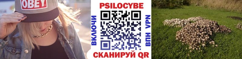 omg ссылки  Вуктыл  Псилоцибиновые грибы мухоморы  где купить наркотик 